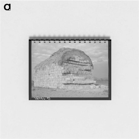 アートメモ帳-Baled Hay, Mineral King
 - ラッセル リー Memo.