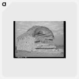 アートポストカード-Baled Hay, Mineral King
 - ラッセル リー Postcard.