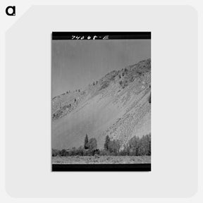 アートポストカード-Salmon River Valley
 - ラッセル リー Postcard.