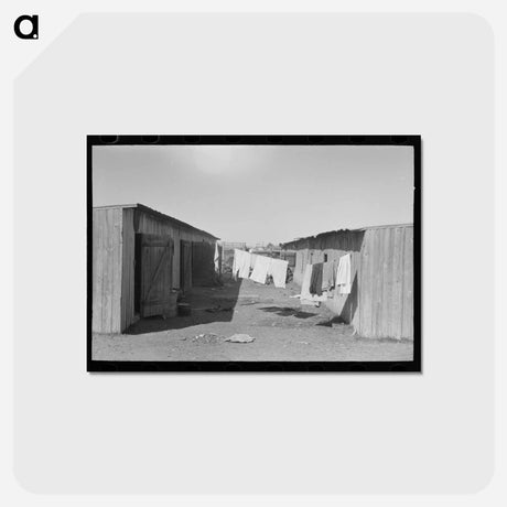 アートポストカード-Housing of Mexican Day Laborers
 - ラッセル リー Postcard.