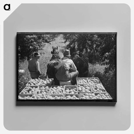 アートパネル-Peach Crates, Delta County
 - ラッセル リー Canvas.