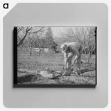 アートパネル-Banking Irrigation Ditches
 - ラッセル リー Canvas.