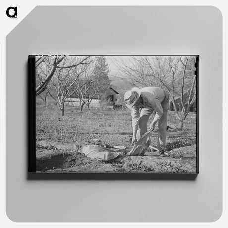 アートパネル-Banking Irrigation Ditches
 - ラッセル リー Canvas.