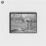 アートメモ帳-Banking Irrigation Ditches
 - ラッセル リー Memo.