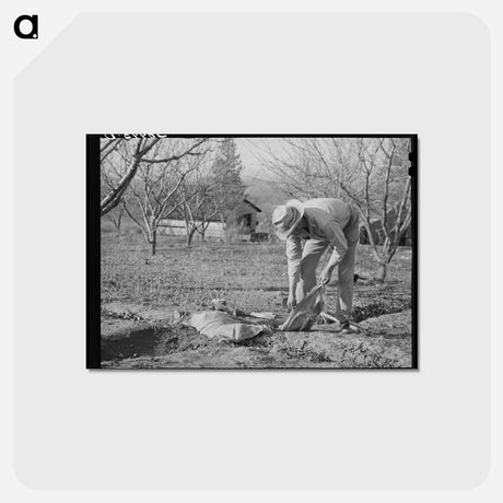 アートポストカード-Banking Irrigation Ditches
 - ラッセル リー Postcard.
