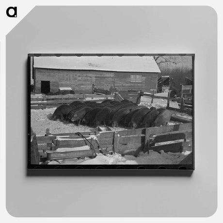 アートパネル-Rustan Brothers' Farm
 - ラッセル リー Canvas.