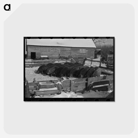 アートポストカード-Rustan Brothers' Farm
 - ラッセル リー Postcard.