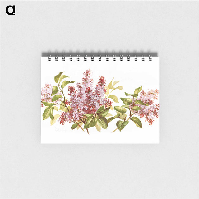 アートメモ帳-Purple Lilacs Study
 - ボストン公共図書館 Memo.