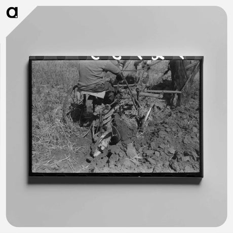 アートパネル-Farmer Plowing, Amimas River Valley
 - ラッセル リー Canvas.