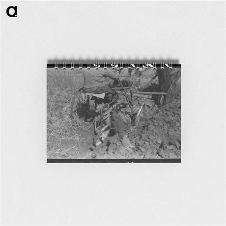 アートメモ帳-Farmer Plowing, Amimas River Valley
 - ラッセル リー Memo.
