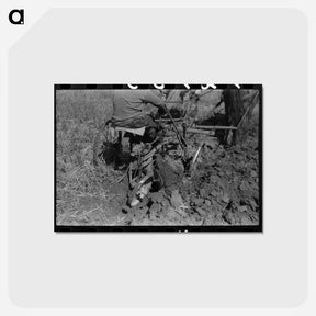 アートポストカード-Farmer Plowing, Amimas River Valley
 - ラッセル リー Postcard.