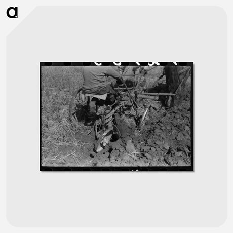 アートポストカード-Farmer Plowing, Amimas River Valley
 - ラッセル リー Postcard.