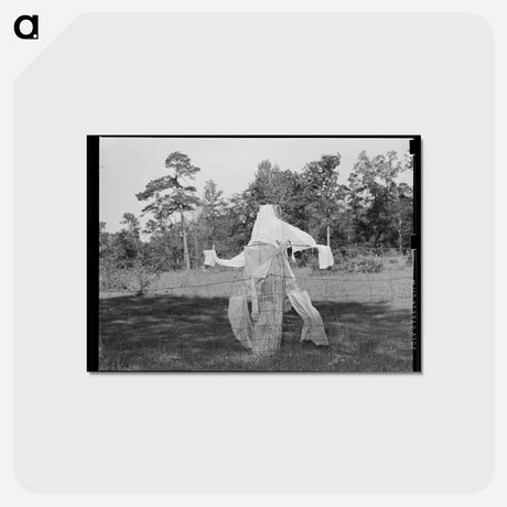アートポストカード-Scarecrow on Farm
 - ラッセル リー Postcard.