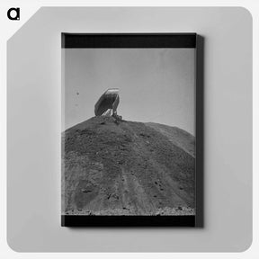 アートパネル-Shasta Dam Excavation
 - ラッセル リー Canvas.