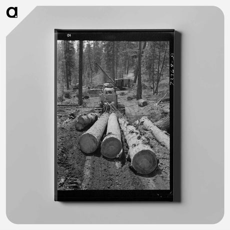 アートパネル-Logging in Malheur National Forest
 - ラッセル リー Canvas.
