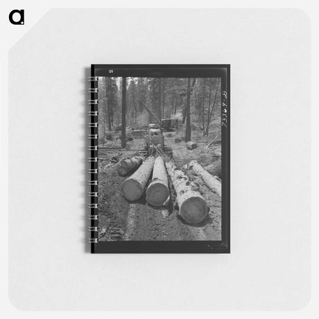 アートメモ帳-Logging in Malheur National Forest
 - ラッセル リー Memo.
