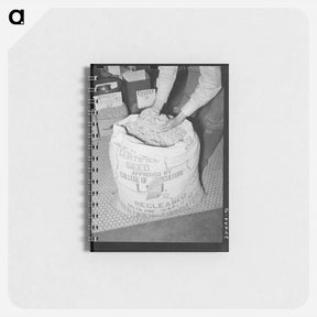 アートメモ帳-Cotton Seed, San Augustine
 - ラッセル リー Memo.