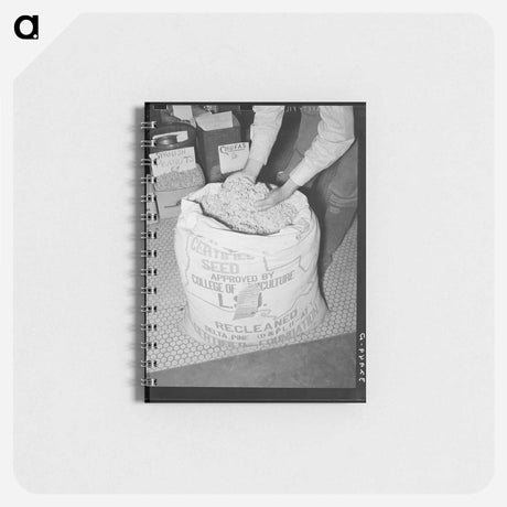 アートメモ帳-Cotton Seed, San Augustine
 - ラッセル リー Memo.