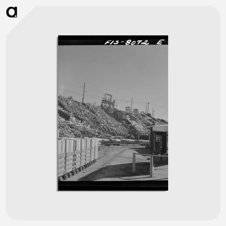 アートポストカード-Anaconda Timber Yard
 - ラッセル リー Postcard.