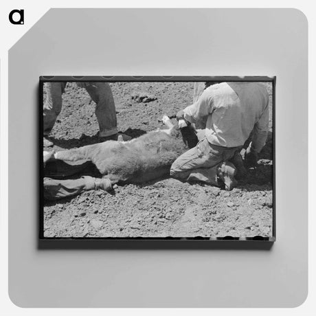 アートパネル-Branding the Calf
 - ラッセル リー Canvas.
