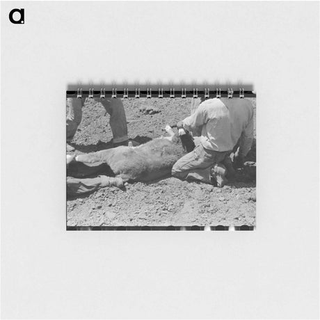アートメモ帳-Branding the Calf
 - ラッセル リー Memo.
