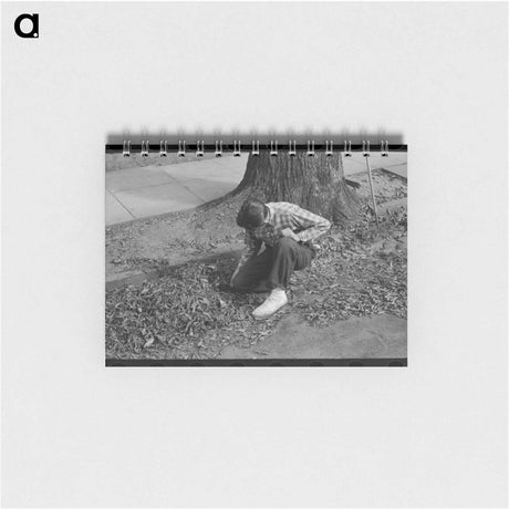 アートメモ帳-Burning Leaves
 - ラッセル リー Memo.