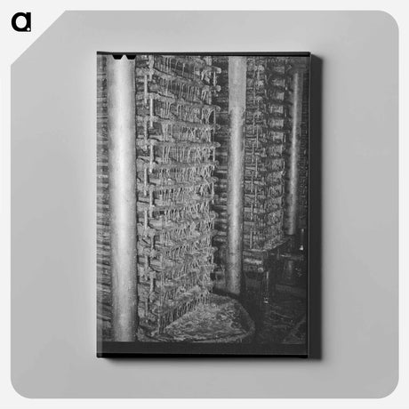 アートパネル-Cotton Seed Oil Mill
 - ラッセル リー Canvas.