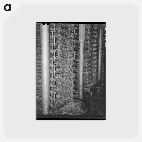 アートポストカード-Cotton Seed Oil Mill
 - ラッセル リー Postcard.