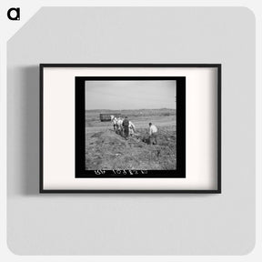 アートポスター-Plowing Cut-Over Land
 - ラッセル リー Poster.