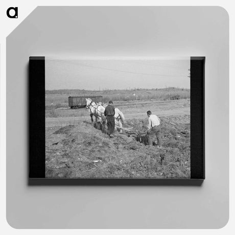 アートパネル-Plowing Cut-Over Land
 - ラッセル リー Canvas.