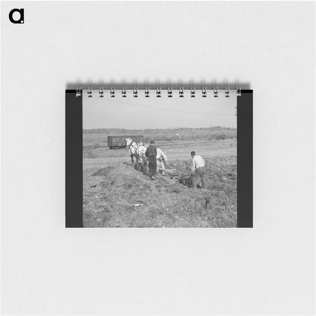 アートメモ帳-Plowing Cut-Over Land
 - ラッセル リー Memo.