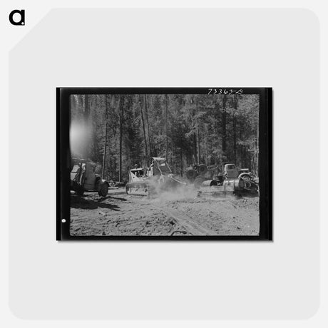 アートポストカード-Oregon Logging Scene
 - ラッセル リー Postcard.