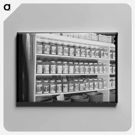 アートパネル-Garden Seed for Sale
 - ラッセル リー Canvas.