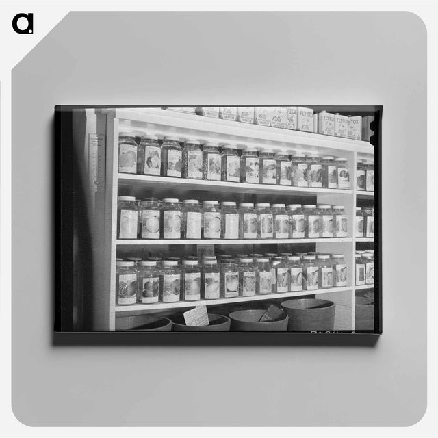 アートパネル-Garden Seed for Sale
 - ラッセル リー Canvas.