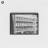 アートメモ帳-Garden Seed for Sale
 - ラッセル リー Memo.