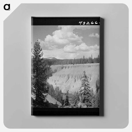 アートパネル-Annie Creek Canyon
 - ラッセル リー Canvas.