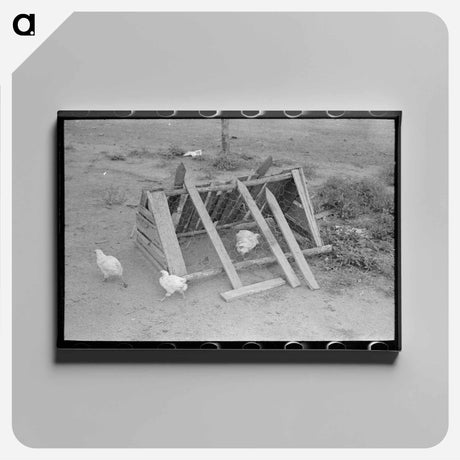 アートパネル-Chicken Coop on a Sharecropper Farm
 - ラッセル リー Canvas.