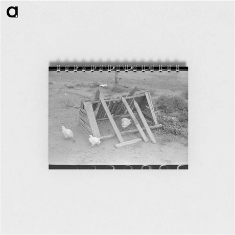 アートメモ帳-Chicken Coop on a Sharecropper Farm
 - ラッセル リー Memo.