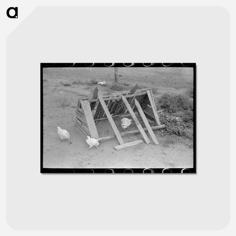 アートポストカード-Chicken Coop on a Sharecropper Farm
 - ラッセル リー Postcard.