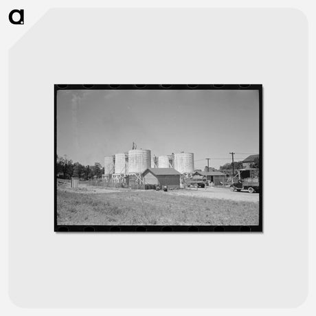 アートポストカード-Farmers Leaving Liquid Feed Loading Station
 - ラッセル リー Postcard.