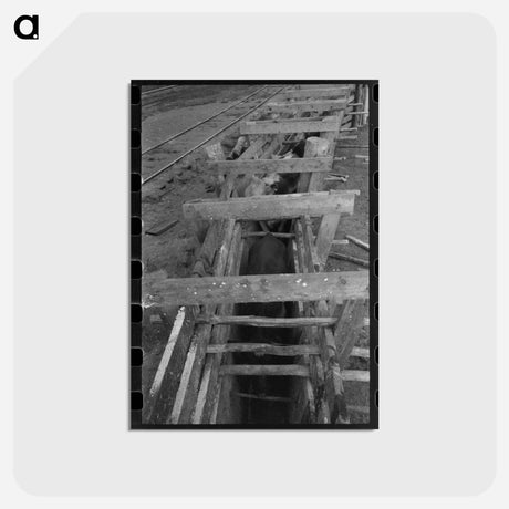アートポストカード-Blue Vitriol Cattle Treatment
 - ラッセル リー Postcard.