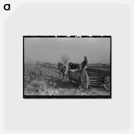 アートポストカード-Husking Corn
 - ラッセル リー Postcard.