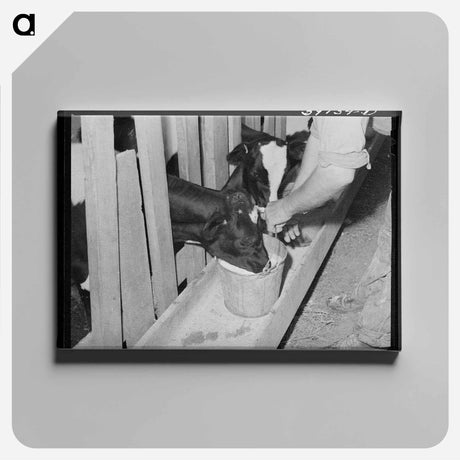 アートパネル-Giving the Calves Fresh Milk
 - ラッセル リー Canvas.