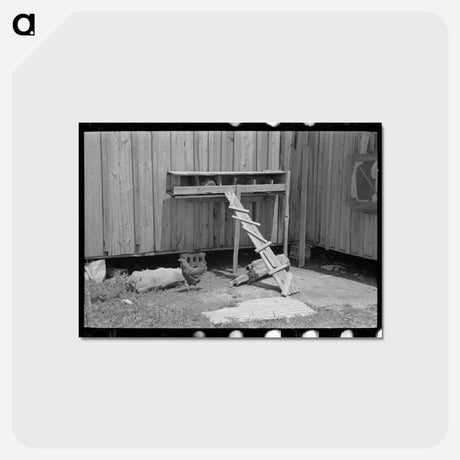 アートポストカード-Sharecropper's Henhouse
 - ラッセル リー Postcard.