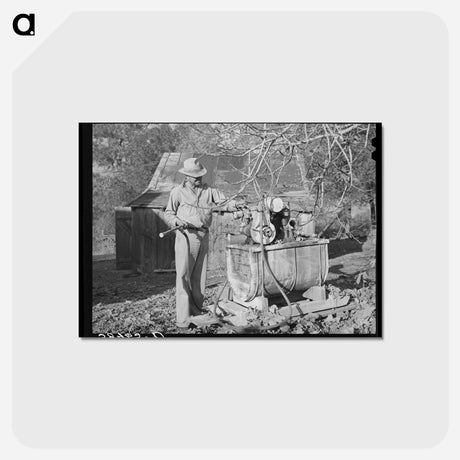 アートポストカード-Oklahoma Farmer in California
 - ラッセル リー Postcard.