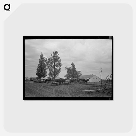 アートポストカード-New Madrid County Scene
 - ラッセル リー Postcard.