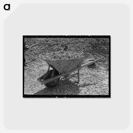 アートポストカード-Wheelbarrow and Crushed Rock
 - ラッセル リー Postcard.