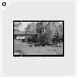 アートポストカード-Black Bayou Ditch
 - ラッセル リー Postcard.