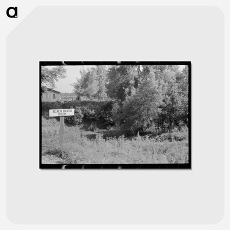アートポストカード-Black Bayou Ditch
 - ラッセル リー Postcard.