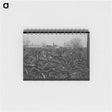 アートメモ帳-Lotfull of Scrap Iron, Oklahoma City
 - ラッセル リー Memo.